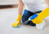The Ultimate Guide to Easy DIY Carpet Cleaning: Lazy-Proof Hacks for a Fresh Look