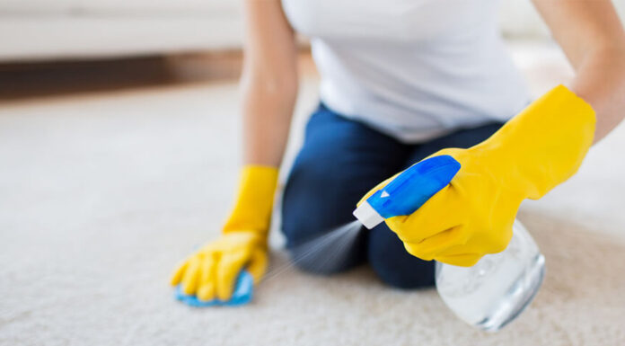 The Ultimate Guide to Easy DIY Carpet Cleaning: Lazy-Proof Hacks for a Fresh Look