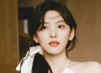 The Ageless Beauties: Hiền Thục and Chương Nhược Nam, 15 Years Apart but Mirror Images in One Aspect