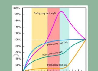 “Nourish Your Child’s Brain: The Power of Three Golden Foods”