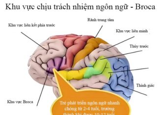 Is Your Late-Talking Child a Late Bloomer or Something More?