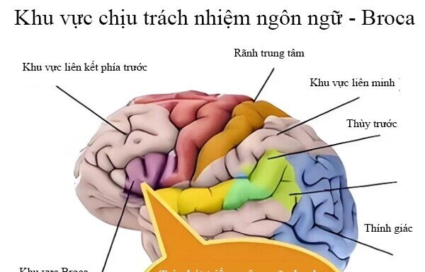 Is Your Late-Talking Child a Late Bloomer or Something More?