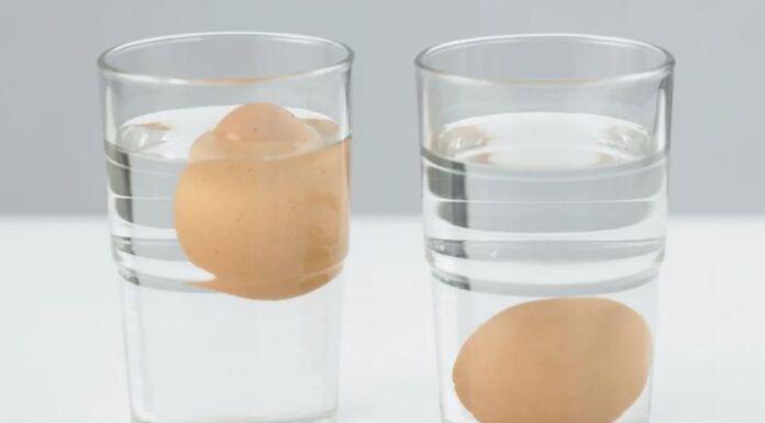 The Ultimate Egg-cellence: Crack the Code on Vietnam’s Freshest Eggs in 3 Seconds Flat.