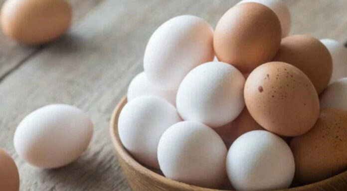 Steer Clear of These 8 Items, Even When Stockpiling for a Pandemic