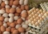 The Ultimate Guide to Egg Storage: How to Keep Your Eggs Fresh for a Year Without Refrigeration