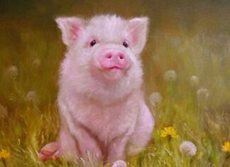 The Night of January Transforms: 3 Years of Lucky Wins, Spectacular Turnarounds