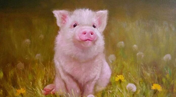 The Night of January Transforms: 3 Years of Lucky Wins, Spectacular Turnarounds