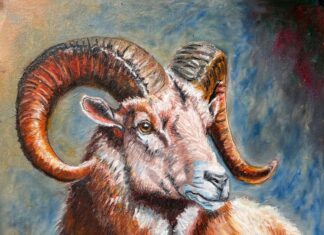 The Golden 15 Days: 3-Year-Old’s Fortune and Prosperity ‘Rain Down Like Spring’, Especially the Wealthy Number 2