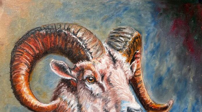 The Golden 15 Days: 3-Year-Old’s Fortune and Prosperity ‘Rain Down Like Spring’, Especially the Wealthy Number 2