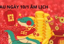 The Lucky Three: Unlocking Wealth and Abundance After the 10th Day of the Lunar New Year