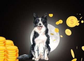 The Fortunate Few: Unlocking Prosperity from Now to the Second Lunar Month’s Full Moon.