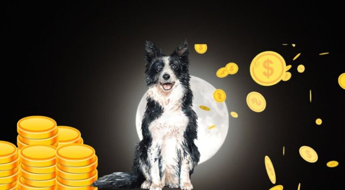 The Fortunate Few: Unlocking Prosperity from Now to the Second Lunar Month’s Full Moon.