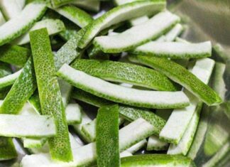 The Ultimate Money-Saving Hack: Refrigerate Citrus Peels for Yearly Savings