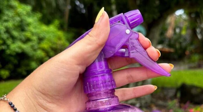The Ultimate Guide to Making Your Own Mosquito Repellent Spray in Minutes