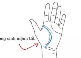The Unfortunate 7: Facial Features of a Man Doomed to an Early Demise