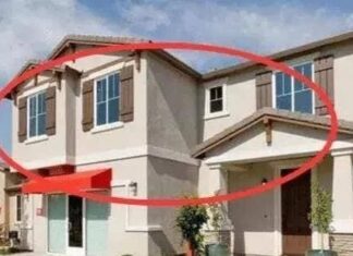 The Ancestors’ Warning: ’10 Feng Shui Mistakes That Turn Your House into an ‘Abyss of Negative Energy’.