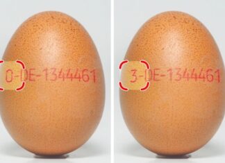 11 Simple Yet Effective Cooking Tips for the Kitchen