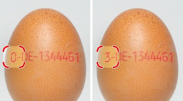 11 Simple Yet Effective Cooking Tips for the Kitchen