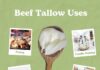 The Art of Beauty: Beef Tallow Transformation Talked About