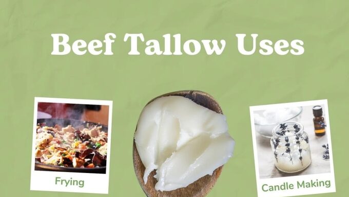 The Art of Beauty: Beef Tallow Transformation Talked About