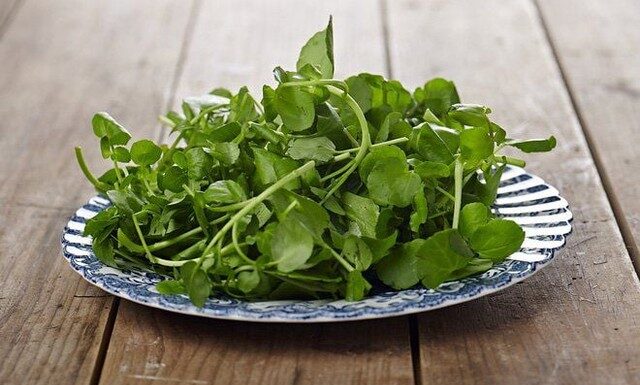 The Ultimate Guide to the World’s Top 10 Super Veggies: Unlocking the Power of Nature’s Bounty, Abundant in Vietnam.