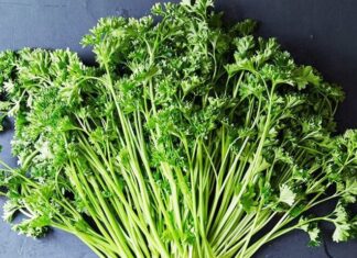 The Ultimate Guide to Budget-Friendly Superfoods: Tiny but Powerful Foods Found in Vietnamese Markets to Keep You Healthy During Cold Weather.