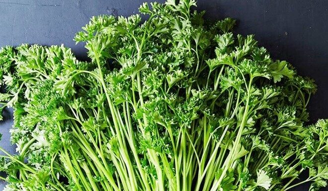 The Ultimate Guide to Budget-Friendly Superfoods: Tiny but Powerful Foods Found in Vietnamese Markets to Keep You Healthy During Cold Weather.