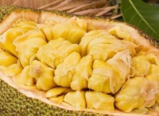 The Mighty Jackfruit Core: Discover its Surprising Uses