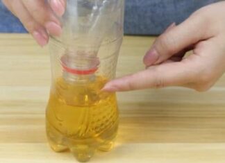 The Ultimate Mosquito Repellent: A Natural Solution for a Pest-Free Home