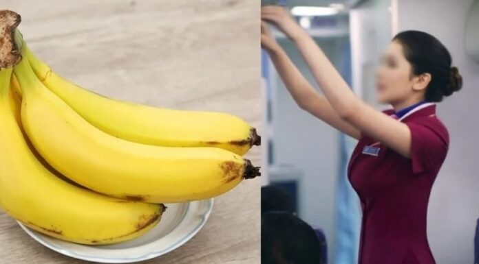 Why Do Flight Attendants Avoid Bringing Bananas on Board? What’s the Deal?