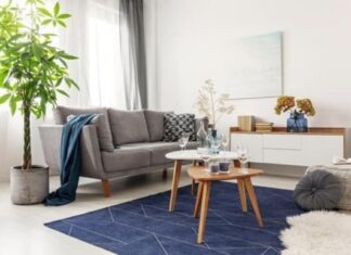 The Ancient’s Wisdom: ‘Attract Wealth to Your Living Room with These 2 Lucky Plants and Avoid the 3 Money-Draining Ones’