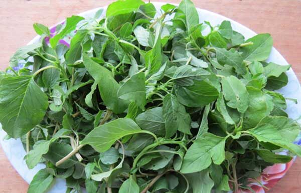 The Ultimate Guide to Pesticide-Free Produce: Unveiling the Top 2 Vegetables with the Least Pesticide Residue.