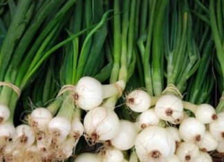 Should You Be Eating Spring Onions Every Day?