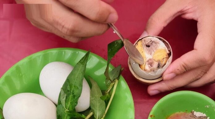 The Ultimate Superfood: Balut, a Delicacy with a Catch.
