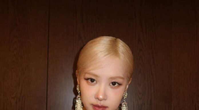 Long-Sleeved Lace Dress: The Perfect Blend of Elegance and Allure for Spring-Summer