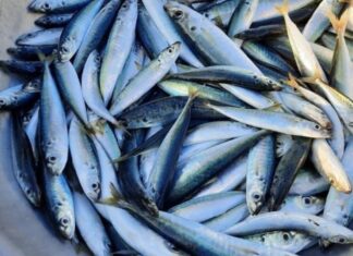 The Ultimate Sweet and Nutritious Catch: A Superfood Fish Delight.