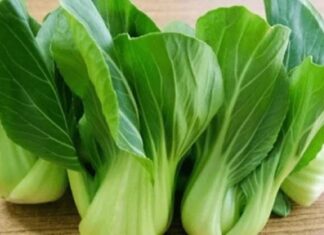 “The Unassuming Calcium Quartet: Discover the Everyday Veggies That Pack a Punch”