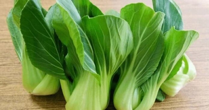 “The Unassuming Calcium Quartet: Discover the Everyday Veggies That Pack a Punch”