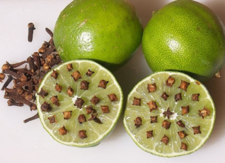 The Ultimate Mosquito Repellent: A Simple Hack to Keep Pests at Bay