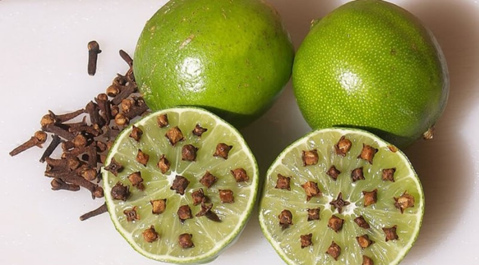 The Ultimate Mosquito Repellent: A Simple Hack to Keep Pests at Bay