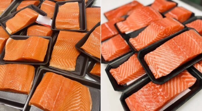 The Chef’s Secret: How to Freeze and Thaw Salmon to Lock in That Fresh-Caught Taste