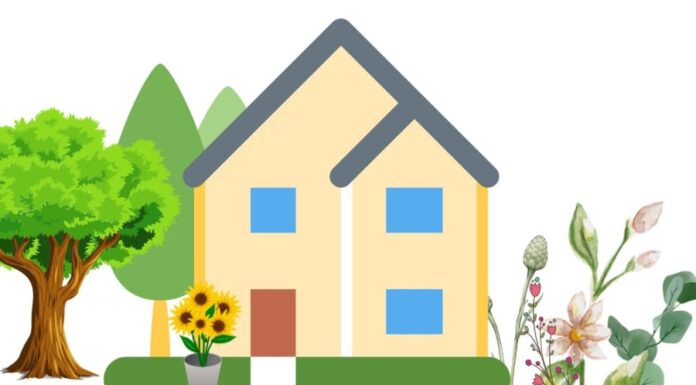 The Ancient’s Wisdom: A Sign of Prosperity Around Your Home.