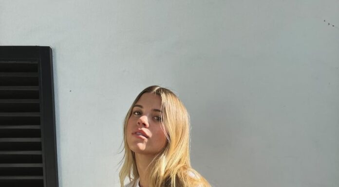 The Ultimate Guide to Choosing the Right Collar for Your Face Shape