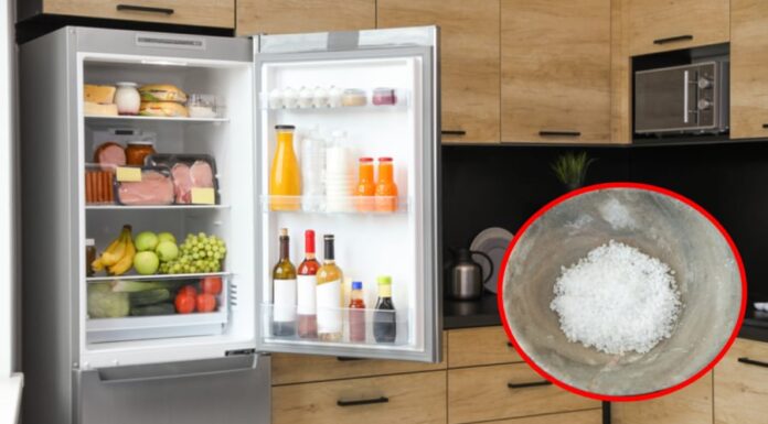 The Magic of Salt: Unlocking the Power of a Simple Ingredient in Your Fridge