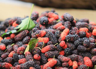 The Ultimate Guide to Nutrition-Rich Foods for Glowing Skin and Luscious Locks