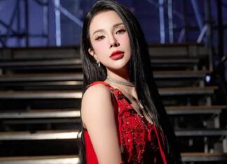 “Diệp Lâm Anh Confirms New Relationship Two Years After Divorce”