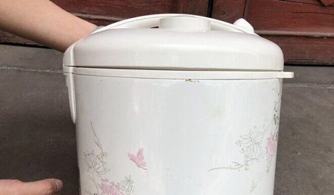 The Magic of Rice Cookers: 8 Creative Ways to Upcycle Yours.