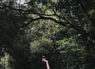 The 10 Hottest Weight Loss Methods for 2024