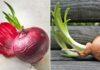 Should You Eat Sprouted Onions?