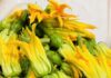 The Ultimate Snack: Crispy Fried Squash Blossoms